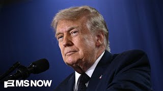 'He doesn't think he's going anywhere': Top Dem Senator WARNS of Trump's plot to hold onto power
