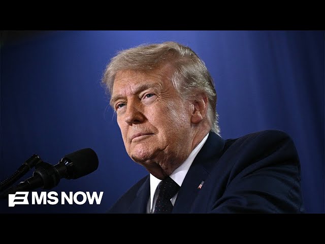 'He doesn't think he's going anywhere': Top Dem Senator WARNS of Trump's plot to hold onto power
