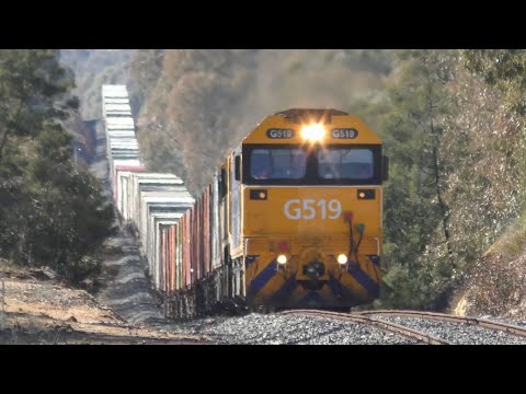 7902 - G519 X48 BL30 on the Maryborough-Ararat line