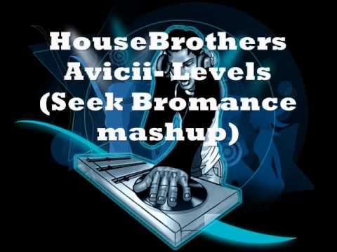 HouseBrothers Avicii-Levels (Seek Bromance Mashup)