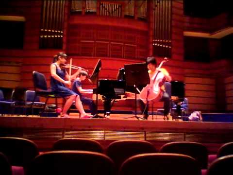 Brahms - 1st movement of Piano Trio Op. 8