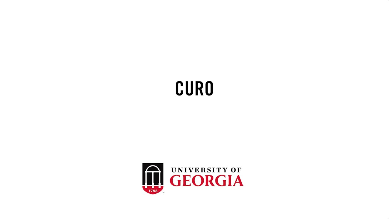 Undergraduate research at UGA