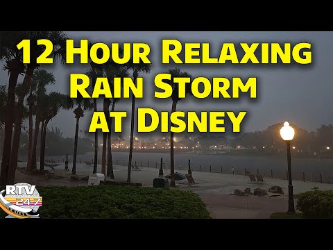 12 Hours - A Relaxing Rain Storm at Disney World - Caribbean Beach Resort