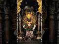 विठ्ठल आवडी प्रेमभाव Vitthal Aawadi Prembhav Vitthal Vithumauli 