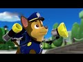 PAW Patrol Full HD Pups Team Episode 21 Pups Save A Bat Pups Save A Toof Funny Movies For KIDs Pa