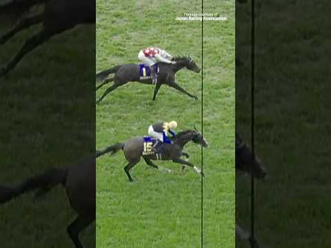 KAMUNYAK #カムニャック wins the G1 Yushun Himba (Japanese Oaks)…as tight as it gets! 🇯🇵 #が優勝