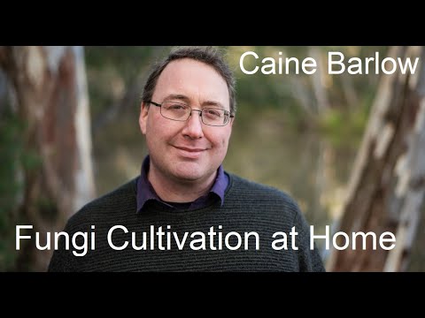 Caine Barlow - Fungi Cultivation at Home