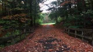 The Changing Seasons at Hudson Valley Park of Study and Reflection