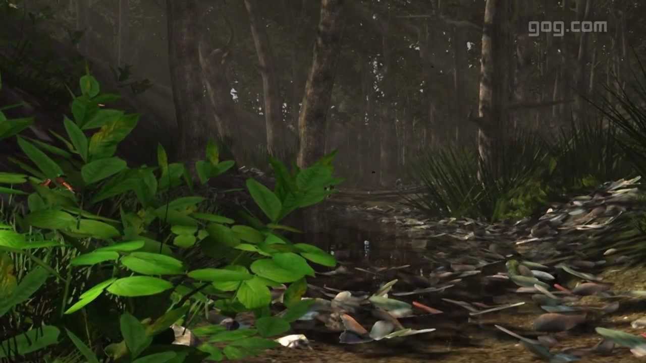 Miasmatavideo poster