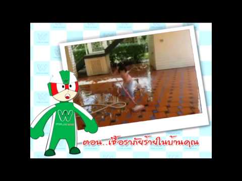 วิธีการเตรียมยาโป๊ในบ้านสำหรับ ที่ช่วยเพิ่มความแข็งแรงผักชีฝรั่ง