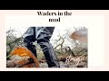 Waders In The Mud