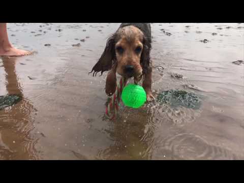 A weekend in Hunstanton