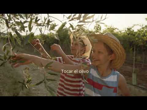 Proceso - Buensalud Selección Frantoio non filtrée 500 ml