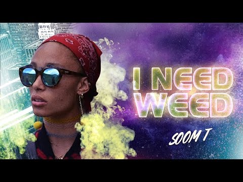 Soom T x Disrupt - I NEED WEED (trip)