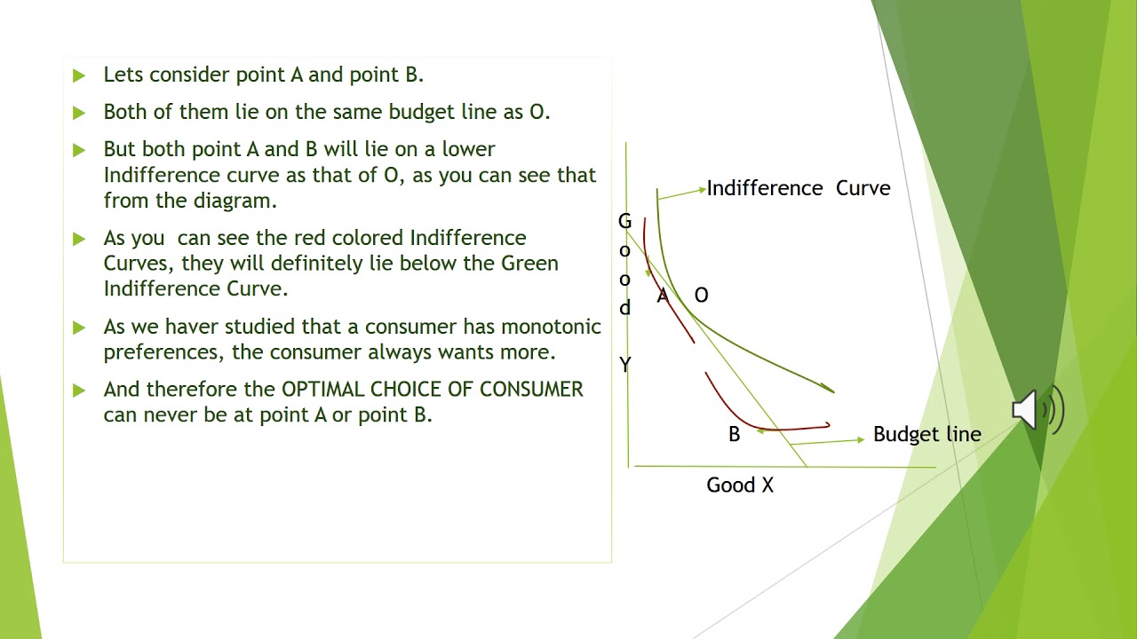 optimal choice of consumer