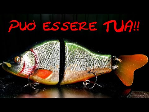 Costruisco una swimbait e la metto all'asta su ebay!