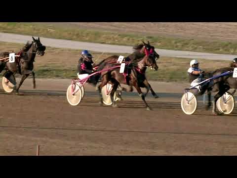 2019.10.12. 07. futam - PLATINA HENDIKEP