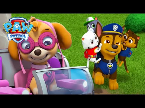 Chase megtalálja a polgármester eltűnt cicáit |mMancs Őrjárat | PAW Patrol | Magyar epizód