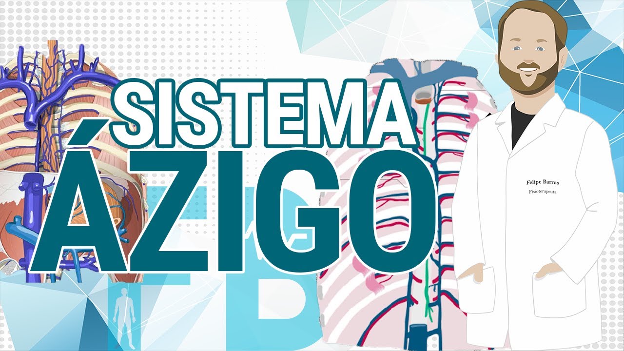 SISTEMA ÁZIGO