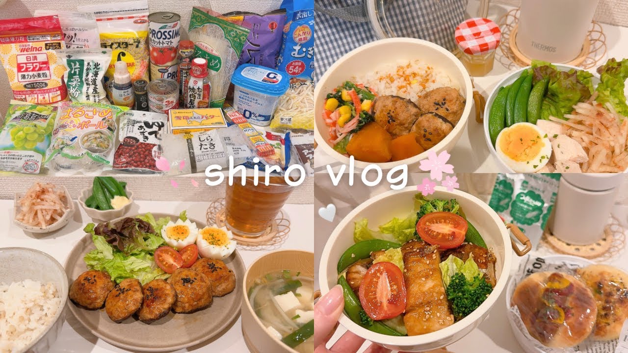 【爆買いウエル活】節約OLの楽しみ！タダで爆買いする日⌇110円弁当箱で節約弁当🍙