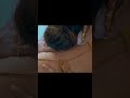 Shiny Dixit Hot Shiny Dixit Hot Edit Vertical Tadap Webseries Hot Shiny Dixit Kiss Biography