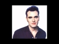 Morrissey - I Am Hated For Loving 