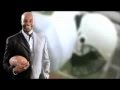 Cumming Chiropractic Med Spa Sports Injuries Prevention Ask Jerry Rice 678 455 8800