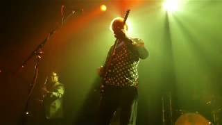 Robyn Hitchcock - Madonna of the Wasps (Live 10/5/2018)