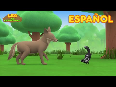 La Mofeta Moteada Oriental (Español) - Leo, El Explorador Episodio | Animación - Familia - Niños