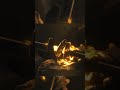 Power Of Angraj Karna Mahabharat Karn Shorts Shortfeed Mahabharat Krishna
