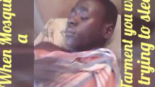 Sibbles - When Mosquitoes A Torment And You Trying To Sleep