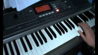 Vinder Fra en Ensom Grav (Dimmu Borgir keyboard cover)
