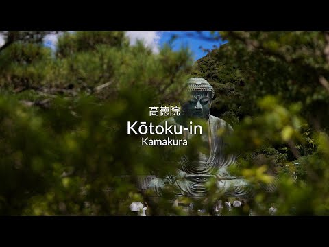 The Great Buddha of Kamakura #japan #kamakura #buddha