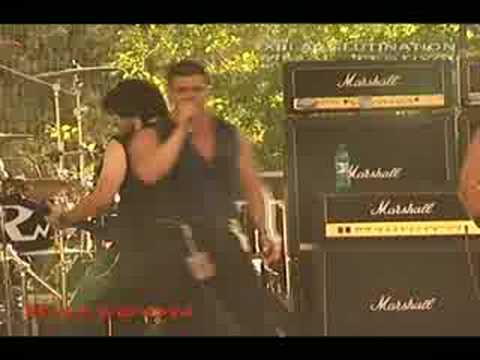 Kaledon live Agglutination