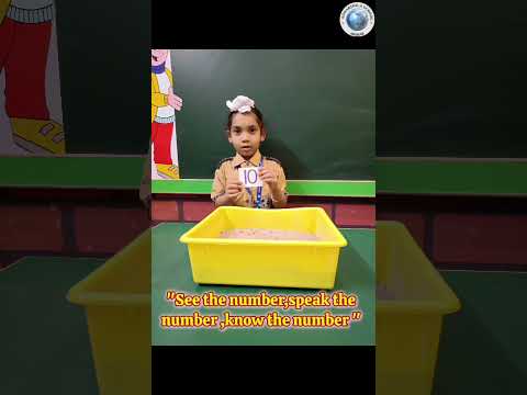Number Flash Card Activity🤩