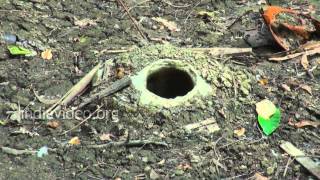 Bomb Pit, Ross Island