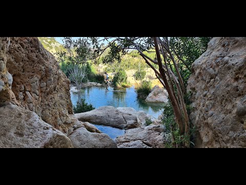 Caves of Pigeons: Nature's Most Beautiful Marvel