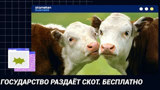 ГОСУДАРСТВО РАЗДАЁТ СКОТ. БЕСПЛАТНО