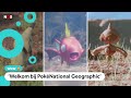 Deze natuurfilm gaat niet over dieren, maar over Pokémon
