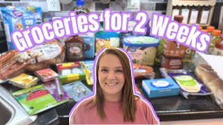 $200 GROCERY BUDGET FOR 2 WEEKS | Walmart & Aldi Haul + 14 Day Family Meal Plan