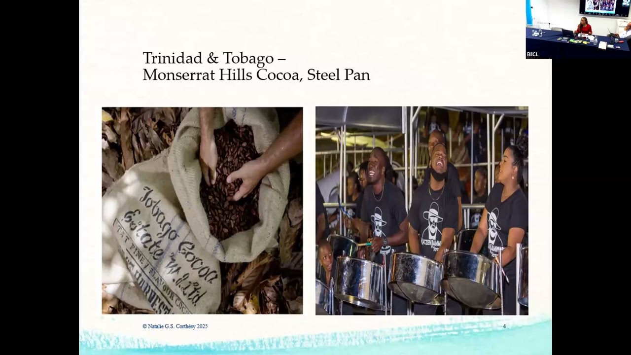 Innovation in Small States - A Caribbean Outlook - Panel 2