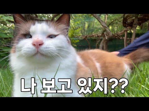 혼자는 외로워요...지켜봐 주세요.