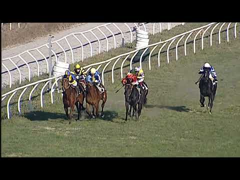 Napoli Galoppo 14/02/2023 - 4ª corsa