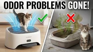 This 2-in-1 Litter Box Air Purifier & Cat Step is AWESOME!