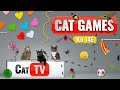 CAT Games Ultimate Cat TV Compilation Vol 145 8 HOURS