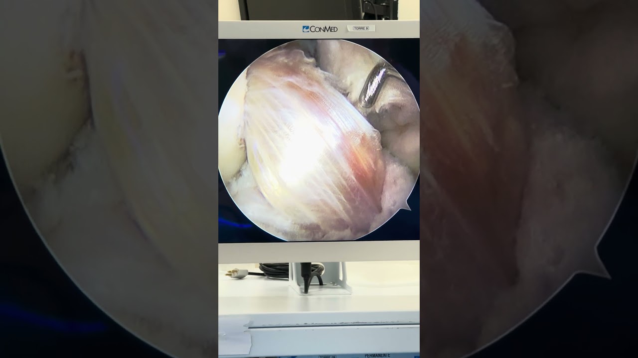 Rafael De Luca De Lucena-4