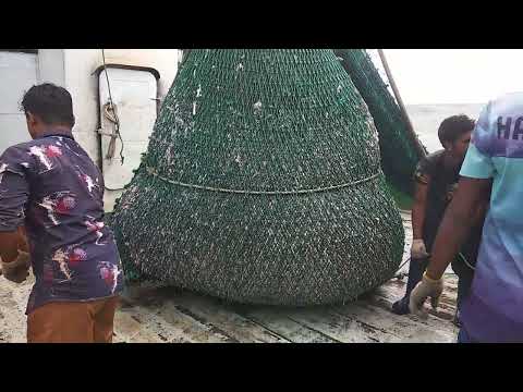Catch Sea Fish in deep Sea || Fishing videos #Fishing_world