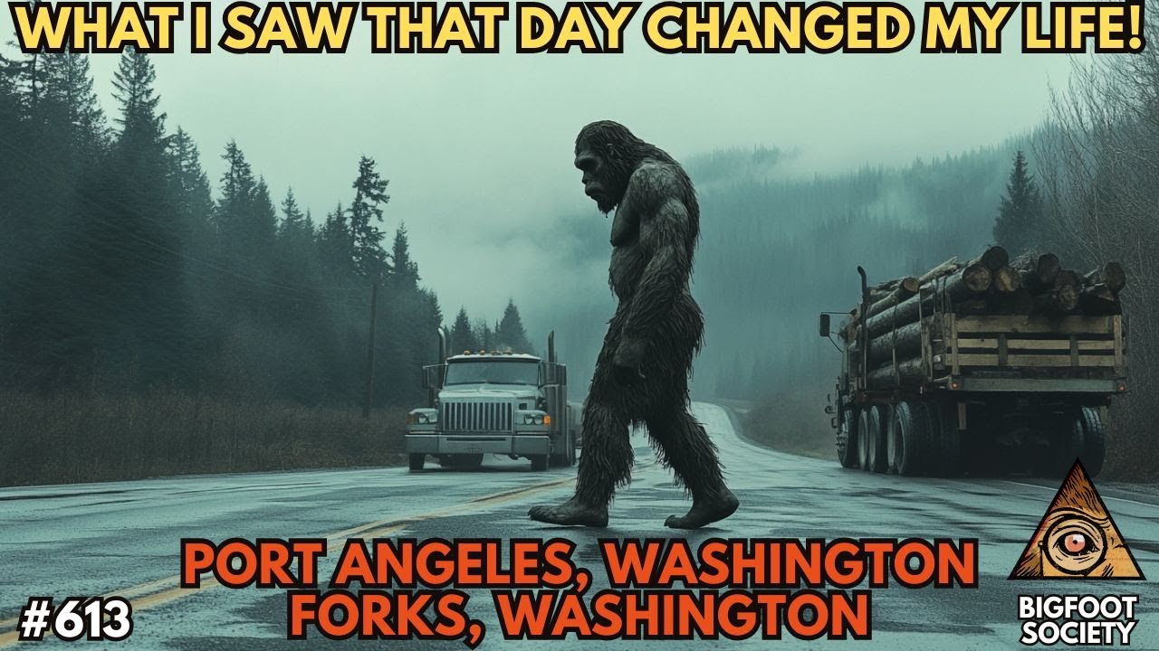 Olympic Peninsula Sasquatch Sightings!