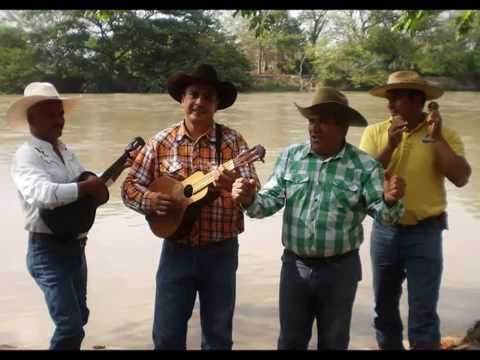 Pajarillo Fiel Amigo Héctor Hernández (El Gabán) (2014)