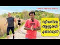 About Swedish people | Good or bad?| Swedish people approach to foreigners | സ്വീഡനിലെ ആളുകൾ